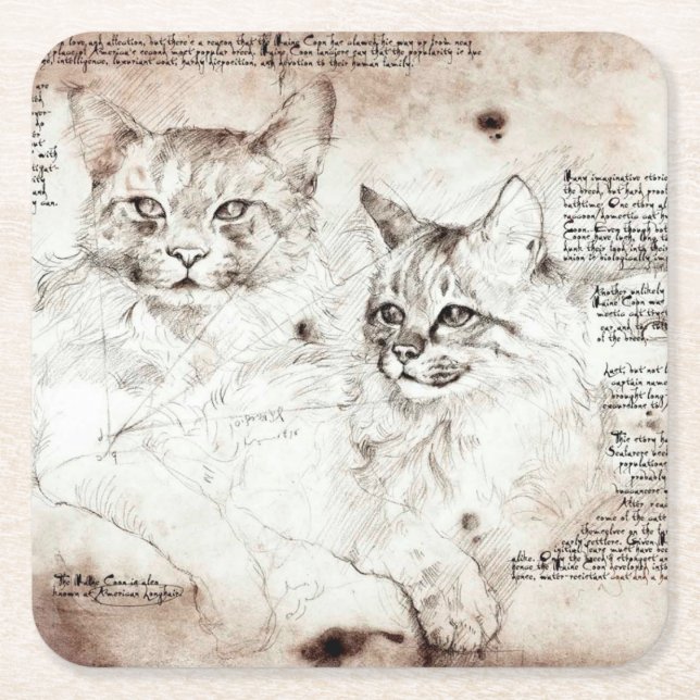 Leonardo da Vinci Katt Skiss Underlägg Papper Kvadrat (Framsidan)
