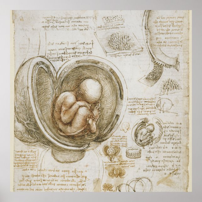 Leonardo da Vinci Poster (Framsidan)
