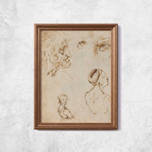 Leonardo Da Vinci Sketches Berömd Art Poster