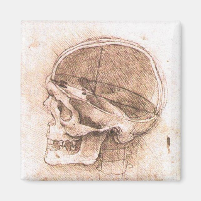 Leonardo da Vinci Skull Anatomy Fine Art Magnet (Framsidan)