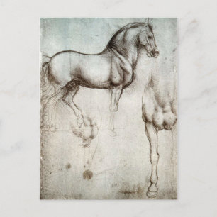 Leonardo da Vinci - Studie av en häst Vykort