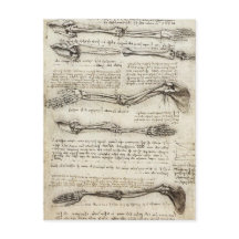 Leonardo da Vinci - Studier av Arm Artwork