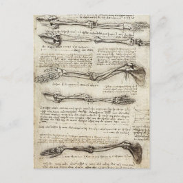 Leonardo da Vinci - Studier av Arm Artwork Vykort