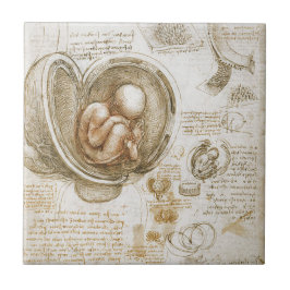 Leonardo Da Vinci studier av foster i skötet Kakelplatta