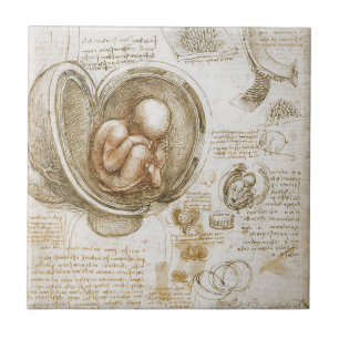 Leonardo Da Vinci studier av foster i skötet Kakelplatta