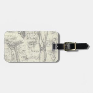 Leonardo da Vinci Vintage Human Anatomy Larynx Leg Bagagebricka