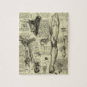 Leonardo da Vinci Vintage Human Anatomy Larynx Leg Pussel