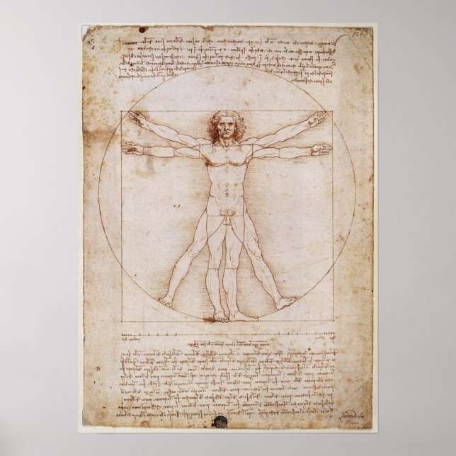 Leonardo da Vinci Vitruvian Man Poster (Framsidan)