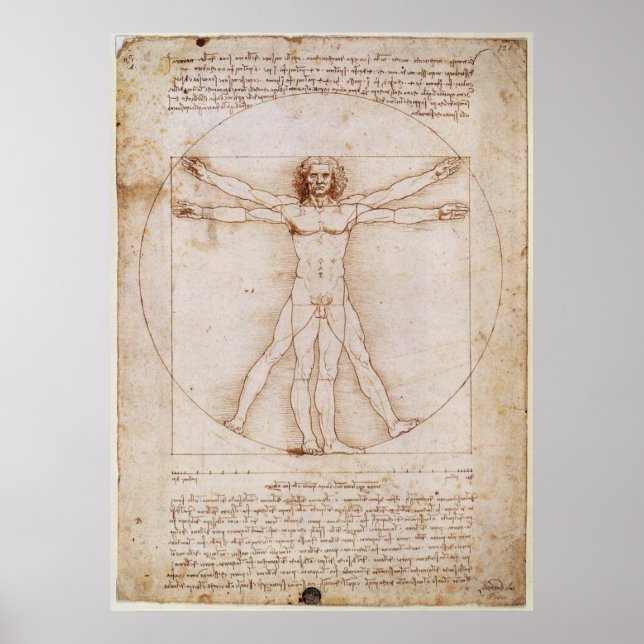 Leonardo da Vinci Vitruvian Man Poster (Framsidan)