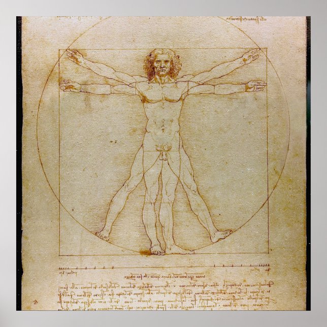 Leonardo Da Vinci, Vitruvian Man,Renaissance Poster (Framsidan)