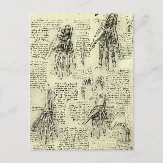 Leonardo da Vinci's Anatomy of the Human Hand Vykort (Framsida)