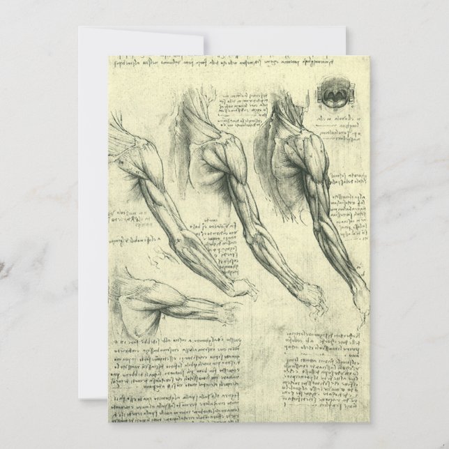 Leonardo da Vincis Arm och Shoulder Anatomy (Framsida)