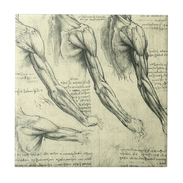Leonardo da Vincis Arm och Shoulder Anatomy Kakelplatta (Framsidan)