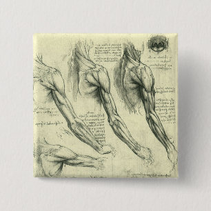 Leonardo da Vincis Arm och Shoulder Anatomy Knapp