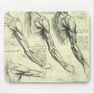 Leonardo da Vincis Arm och Shoulder Anatomy Musmatta
