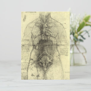 Leonardo da Vinci's Human Anatomy, Female Torso
