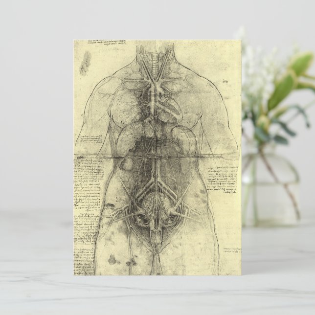Leonardo da Vinci's Human Anatomy, Female Torso (Stående Fram)