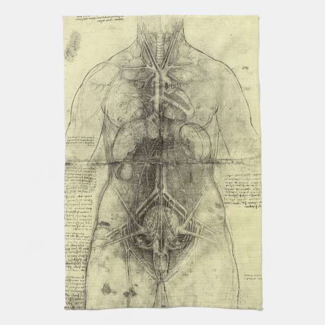 Leonardo da Vinci's Human Anatomy, Female Torso Kökshandduk (Vertikal)