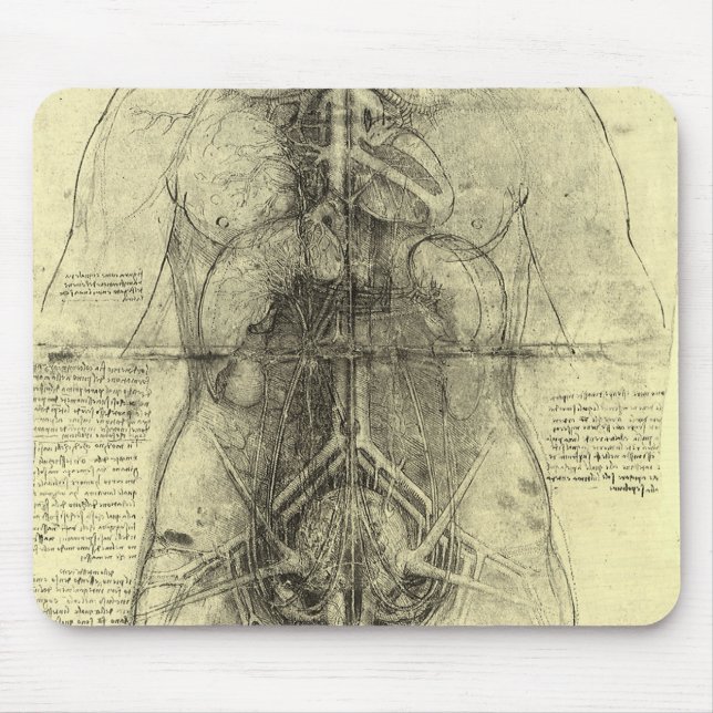 Leonardo da Vinci's Human Anatomy, Female Torso Musmatta (Framsidan)