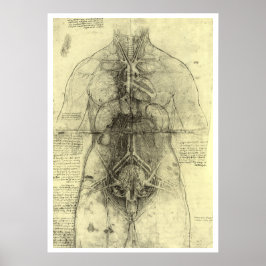 Leonardo da Vinci's Human Anatomy, Female Torso Poster