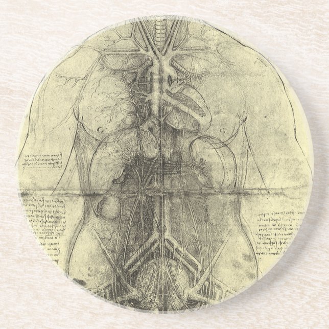 Leonardo da Vinci's Human Anatomy, Female Torso Underlägg Sandsten (Framsidan)