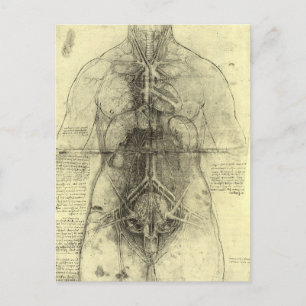 Leonardo da Vinci's Human Anatomy, Female Torso Vykort