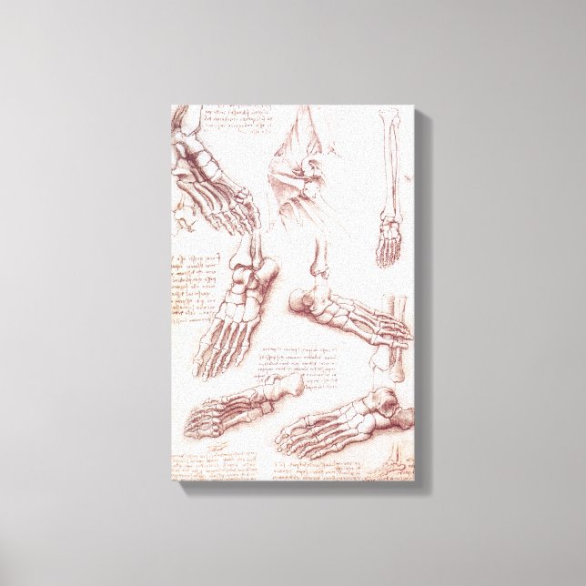 Leonardo da Vinci's Human Anatomy Foot Bones Canvastryck (Framsida)