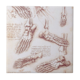 Leonardo da Vinci's Human Anatomy Foot Bones Kakelplatta