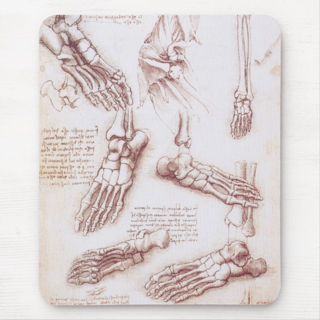 Leonardo da Vinci's Human Anatomy Foot Bones Musmatta (Framsidan)