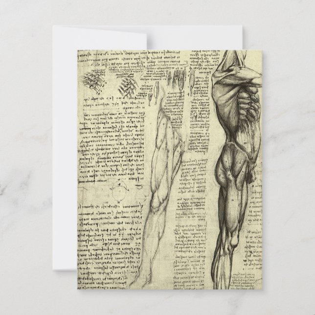 Leonardo da Vinci's Human Anatomy Male Muscles (Framsida)