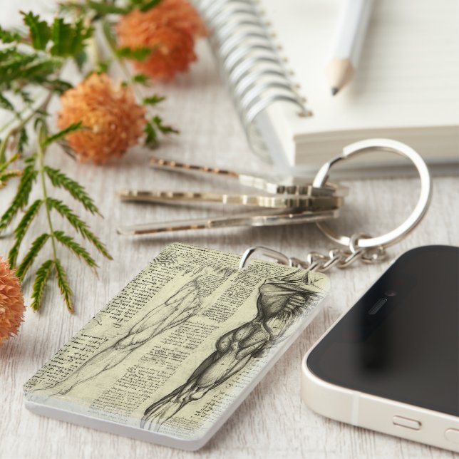 Leonardo da Vinci's Human Anatomy Male Muscles (Högra Framsidan)