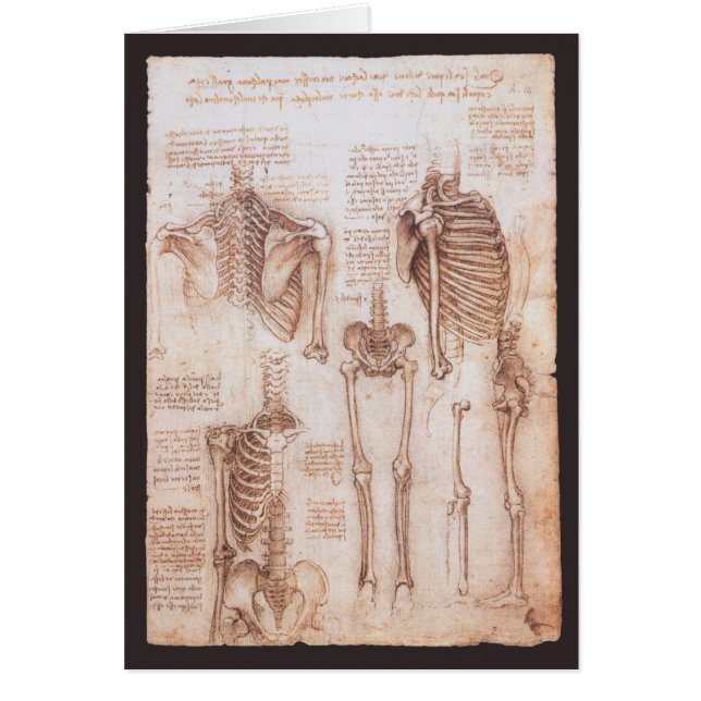 Leonardo da Vinci's Human Anatomy Skeleton Bones Hälsningskort (Framsidan)