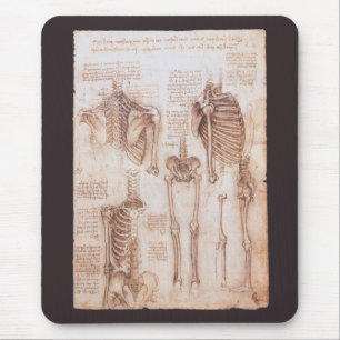 Leonardo da Vinci's Human Anatomy Skeleton Bones Musmatta