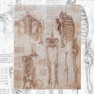 Leonardo da Vinci's Human Anatomy Skeleton Bones Pussel
