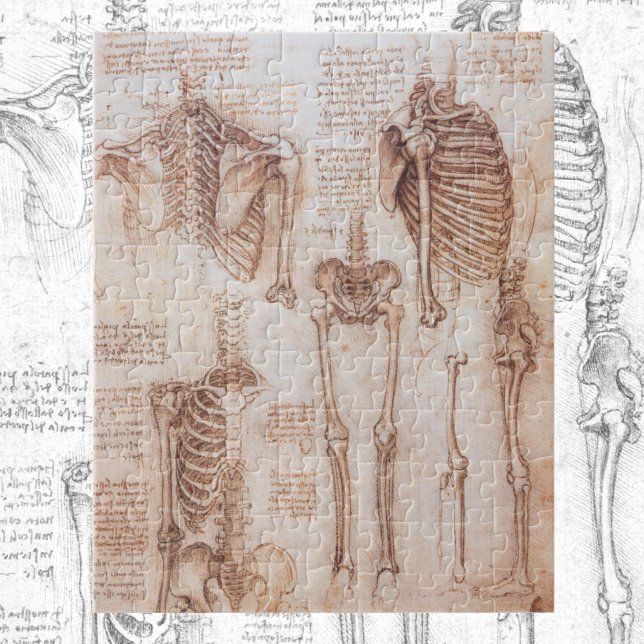 Leonardo da Vinci's Human Anatomy Skeleton Bones Pussel (Skapare uppladdad)