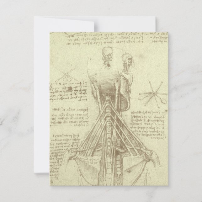 Leonardo da Vinci's Human Anatomy Spinal Column (Framsida)