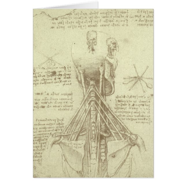 Leonardo da Vinci's Human Anatomy Spinal Column Hälsningskort (Framsidan)