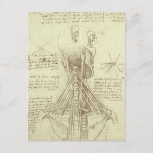 Leonardo da Vinci's Human Anatomy Spinal Column Vykort