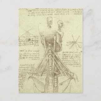 Leonardo da Vinci's Human Anatomy Spinal Column Vykort