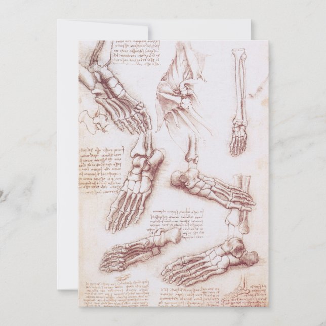 Leonardo da Vincis människoanatomi Fotben (Framsida)