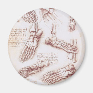 Leonardo da Vincis människoanatomiska fotskelett Magnet