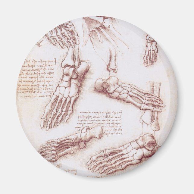 Leonardo da Vincis människoanatomiska fotskelett Magnet (Framsidan)