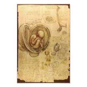 Leonardo da Vincis undersökning av baby fetus Fototryck