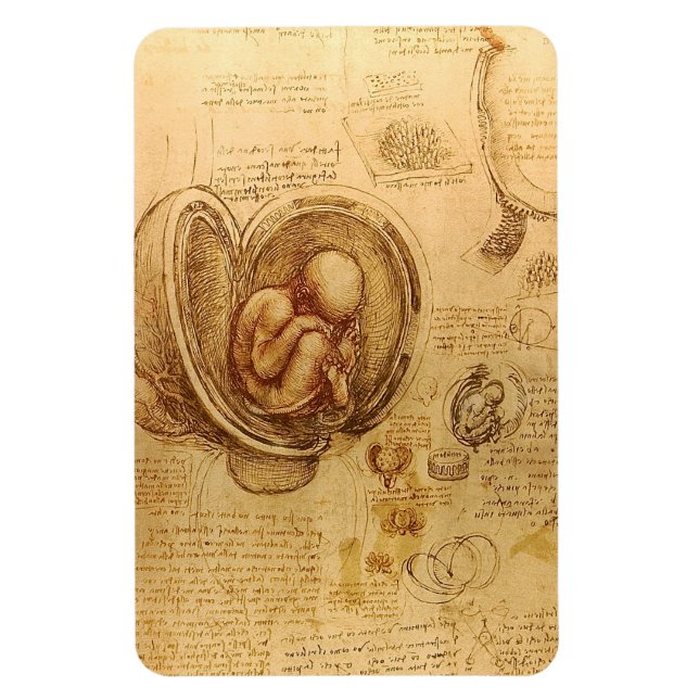 Leonardo da Vincis undersökning av baby fetus Magnet (Vertikal)