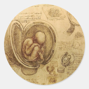 Leonardo da Vincis undersökning av baby fetus Runt Klistermärke