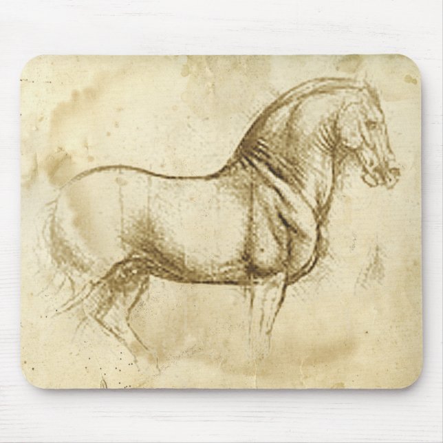 Leonardo DaVinci Horse Musmatta (Framsidan)