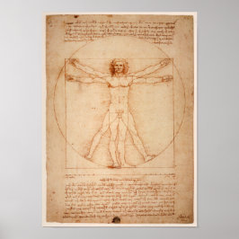 Leonardo de Vinci Teckning Poster