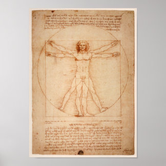 Leonardo de Vinci Teckning Poster