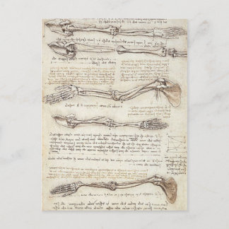 Leonardo Limb-vykort Vykort