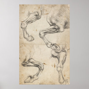 Leonardo-studie för hästben poster